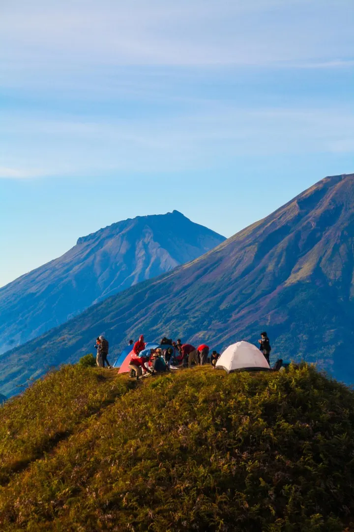 Mountain bikers in a dense forest